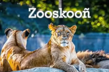 Zooskooñ