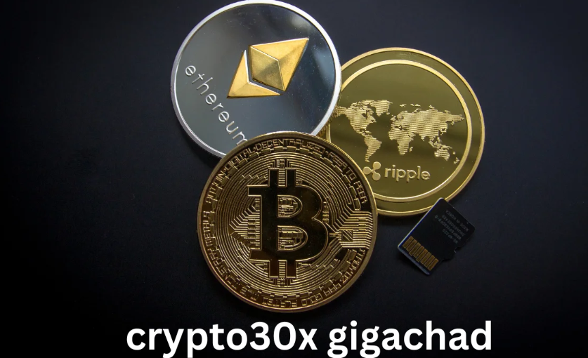 Crypto30x.com Gigachad