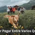 Huayqear Quechua Entre Varios Quechua