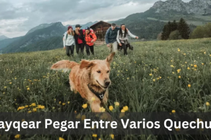 Huayqear Quechua Entre Varios Quechua