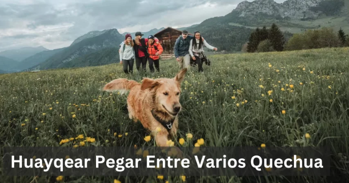 Huayqear Quechua Entre Varios Quechua